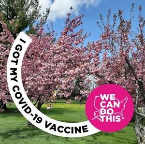 Meet your Posher, Elaine